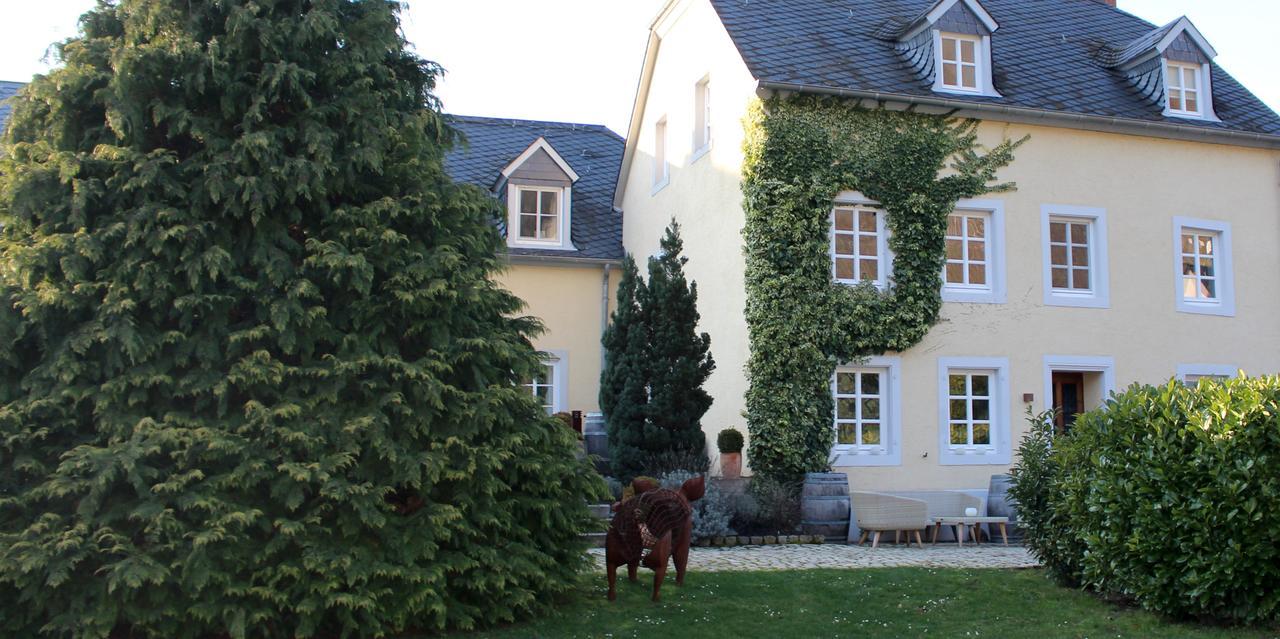 Hotel Wein- & Tafelhaus Trittenheim Zewnętrze zdjęcie